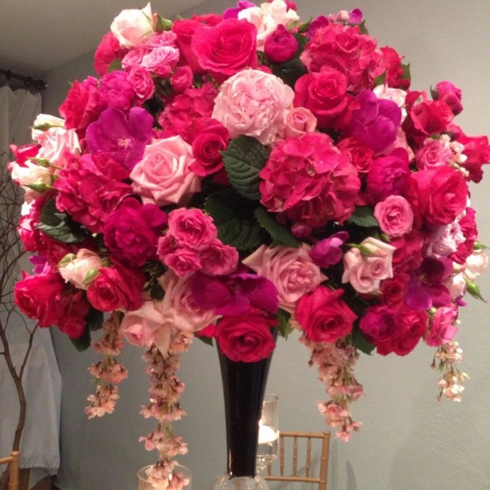 Meet your Posher, Lina